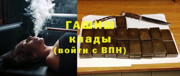стаф Дмитриев