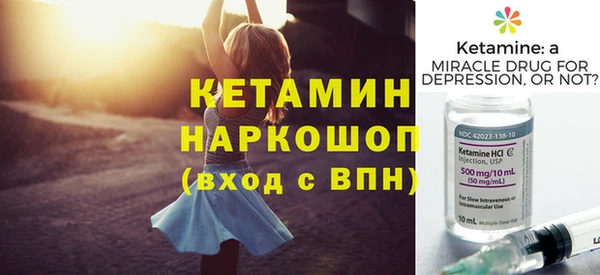 стаф Дмитриев