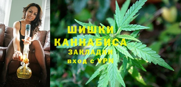 2c-b Чекалин